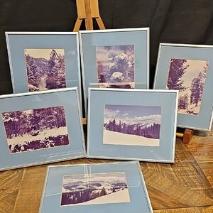 Set Of Nature Photographs Framed Set With Blue Matting.